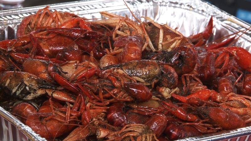 Mudbug Madness brings food & fun to Shreveport for 39 years